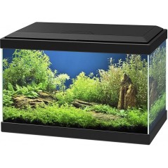 Aqua 20 Led Noir 40x20x24,8cm - Ciano à 70,45 € - Ciano - 77540134 - Bocal pour poisson