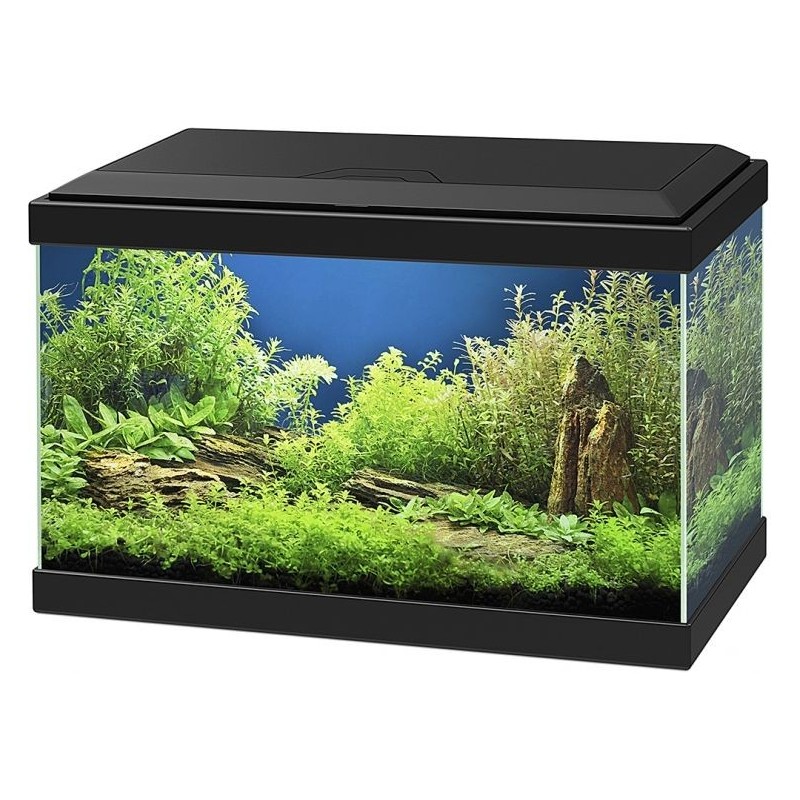 Aqua 20 Led Noir 40x20x24,8cm - Ciano