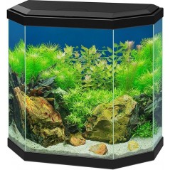 Aqua 30 Led Noir 40x20x45,5cm - Ciano à 90,45 € - Ciano - 77540135 - Bocal pour poisson