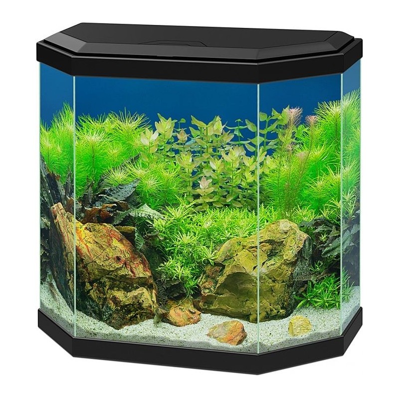 Aqua 30 Led Noir 40x20x45,5cm - Ciano