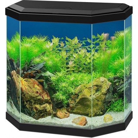 Aqua 30 Led Noir 40x20x45,5cm - Ciano à 90,45 € - Ciano - 77540135 - Bocal pour poisson