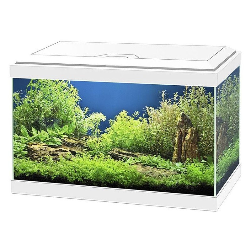 Aqua 20 Led Blanc 40x20x24,8cm - Ciano