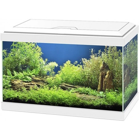 Aqua 20 Led Blanc 40x20x24,8cm - Ciano à 75,00 € - Ciano - 77540142 - Bocal pour poisson