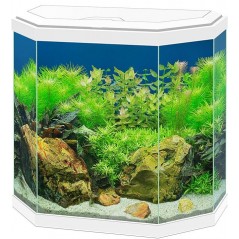 Aqua 30 Led Blanc 40x20x45,5cm - Ciano à 90,45 € - Ciano - 77540144 - Bocal pour poisson