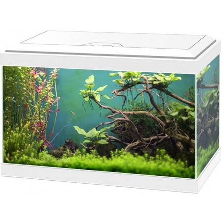 Aqua 20 Classic Blanc 40x20x24,8cm - Ciano à 60,50 € - Ciano - 77540155 - Bocal pour poisson