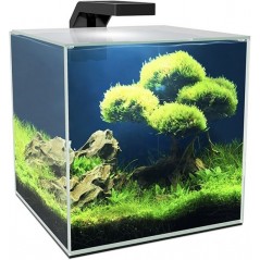 Cube 10 Led 9,5L - Ciano à 76,90 € - Ciano - 77690137 - Bocal pour poisson