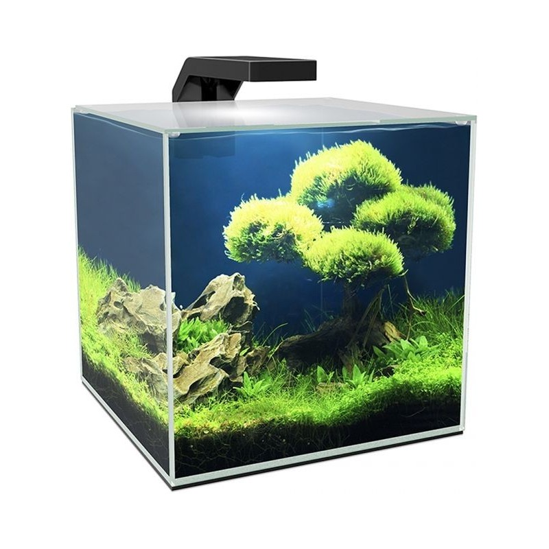 Cube 10 Led 9,5L - Ciano