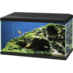 Aquarium Aqua 60 Led Bio CF150 Noir 60x30x41cm - Ciano à 123,00 € - Ciano - 77540226 - Aquarium & meubles