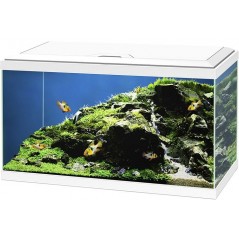 Aquarium Aqua 60 Led Bio CF150 Blanc 60x30x41cm - Ciano 77540227 Ciano 123,00 € Ornibird