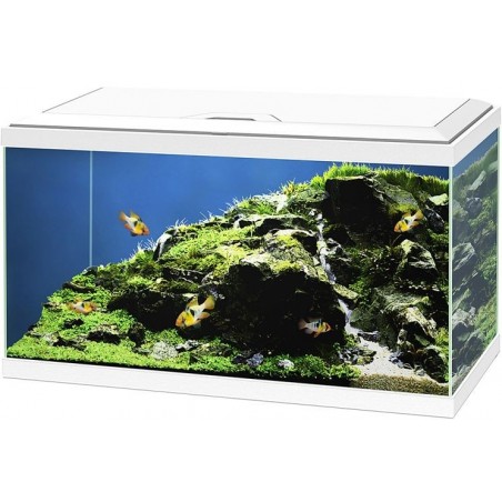 Aquarium Aqua 60 Led Bio CF150 Blanc 60x30x41cm - Ciano à 123,00 € - Ciano - 77540227 - Aquarium & meubles