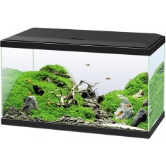 Aquarium 60 Led CF80 Noir 60x30x41cm - Ciano à 115,00 € - Ciano - 77540228 - Aquarium & meubles