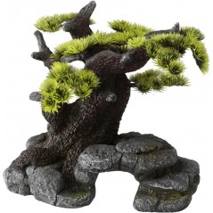 Bonsai M/L 26x17,5x24cm - Aqua Della à 48,45 € - Aqua Della - 234/105320 - Décoration