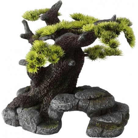 Bonsai M/L 26x17,5x24cm - Aqua Della à 48,45 € - Aqua Della - 234/105320 - Décoration