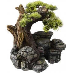 Bonsai S/M 16,5x16,5x18cm - Aqua Della à 32,65 € - Aqua Della - 234/105337 - Décoration
