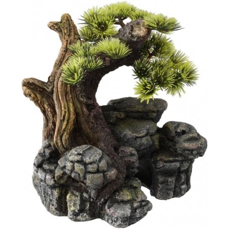 Bonsai S/M 16,5x16,5x18cm - Aqua Della à 32,65 € - Aqua Della - 234/105337 - Décoration