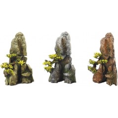 Bonsailate 17cm - Aqua Della à 16,95 € - Aqua Della - 234/106389 - Décoration