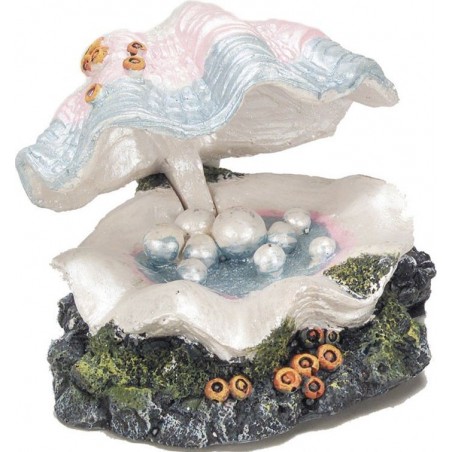 Coquillage 12,5x11,5x8cm - Aqua Della à 23,35 € - Aqua Della - 234/108154 - Décoration