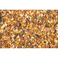 Chix Mix Grandes Races prêt à l'emploi 4kg - Deli Nature à 8,65 € - Deli Nature - 026311 - Volaille