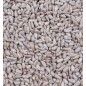 Greenline Peeled Sunflowerseed 850gr - Deli Nature