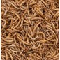 Greenline Mealworms 200gr - Deli Nature