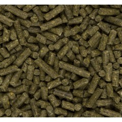 SpecialtiX Herbi Pellet 20kg - Deli Nature à 14,45 € - Deli Nature - 032601 - Deli Nature