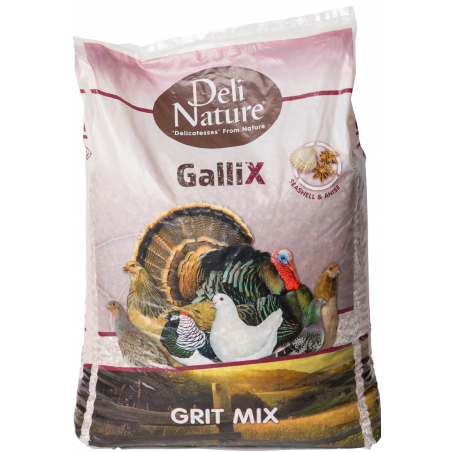 GalliX Grit Mix 20kg - Deli Nature