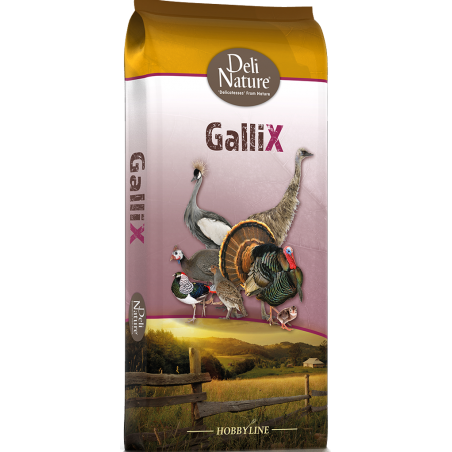 GalliX Ornamental Farine Démarrage 20kg - Deli Nature à 16,55 € - Deli Nature - 315031 - Nourriture