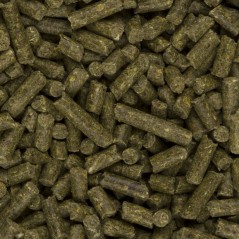 GalliX Austri Pellet Entretien 20kg - Deli Nature à 14,45 € - Deli Nature - 315041 - Nourriture