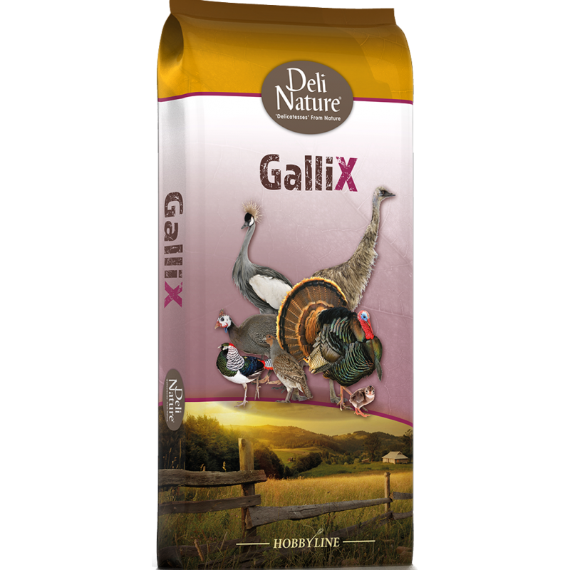 GalliX Austri Pellet Entretien 20kg - Deli Nature