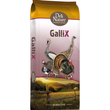 GalliX Ornamental Pellet Entretien 20kg - Deli Nature