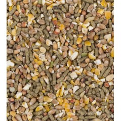 ChiX Mix Ponte 20kg - Deli Nature à 14,85 € - Deli Nature - 315006 - Poule Pondeuse