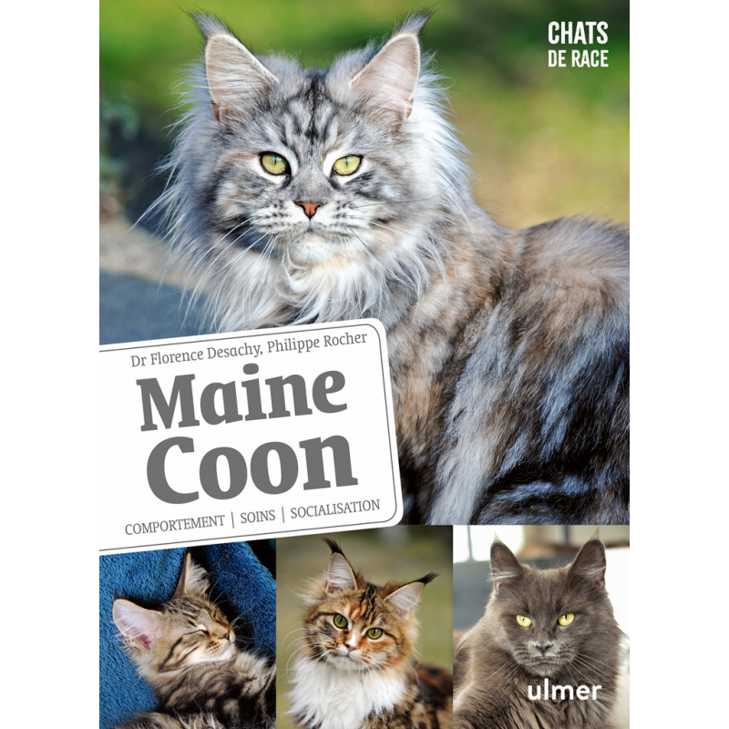 Maine Coon Comportements, soins, socialisation - Florence DESACHY & Phillippe ROCHER