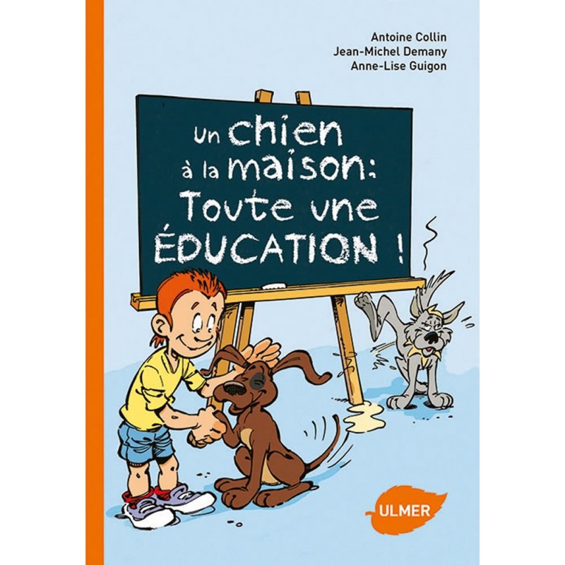 Un chien à la maison : toute une éducation! - Antoine COLLIN & Jean-Michel DEMANY & Anne-Lise GUIGON