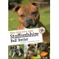 Bien vivre avec mon Staffordshire Bull Terrier Éducation, comportement, soins - Valérie DRAMARD 1389346 Ulmer 15,90 € Ornibird