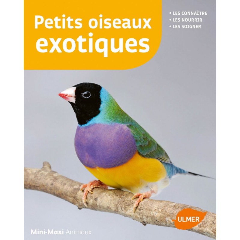 Petits oiseaux exotiques Les connaître, les nourrir, les soigner - Renaud LACROIX