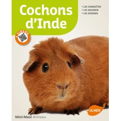 Cochons d'Inde - Dietrich-Fritz ALTMANN & Jean-François QUINTON à 7,90 € - Ulmer - 1387601 - Livre