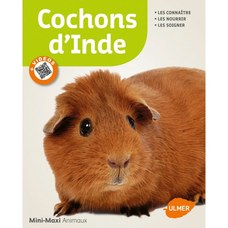 Cochons d'Inde - Dietrich-Fritz ALTMANN & Jean-François QUINTON