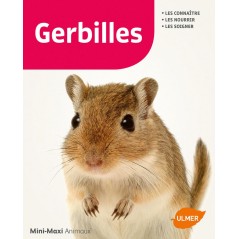 Gerbilles - Heike SCHMIDT-RÖGER à 7,90 € - Ulmer - 1388905 - Livre