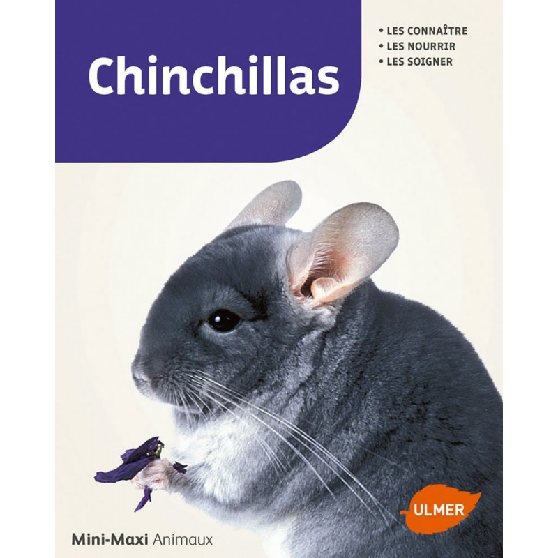 Chinchillas - Heike SCHMIDT-RÖGER