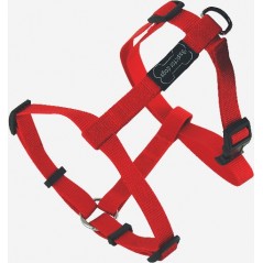 Harnais Basic Line Rouge 20mm 52/80cm - Wouapy à 9,90 € - Wouapy - 312147000 - Wouapy