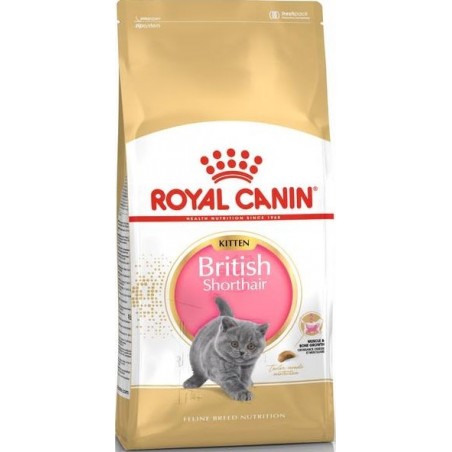 British Shorthair Kitten 400gr - Royal Canin 1250910 Royal Canin 8,85 € Ornibird