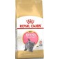British Shorthair Kitten 400gr - Royal Canin 1250910 Royal Canin 8,85 € Ornibird