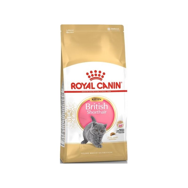 British Shorthair Kitten 2kg - Royal Canin