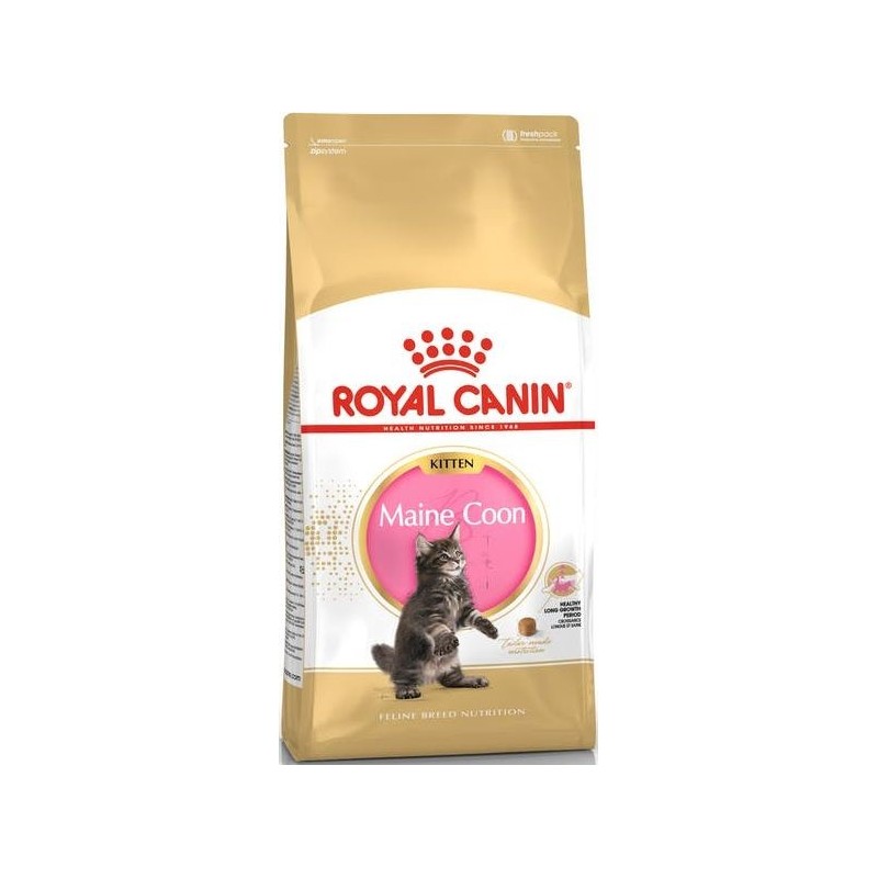 Maine Coon Kitten 400gr - Royal Canin