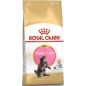 Maine Coon Kitten 400gr - Royal Canin