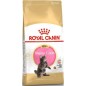 Maine Coon Kitten 10kg - Royal Canin 1250819 Royal Canin 136,95 € Ornibird