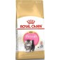 Persian Kitten 10kg - Royal Canin