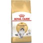 Norwegian Forest Adult 400gr - Royal Canin 1250930 Royal Canin 7,70 € Ornibird