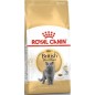 British Shorthair Adult 10kg - Royal Canin 1250924 Royal Canin 119,05 € Ornibird