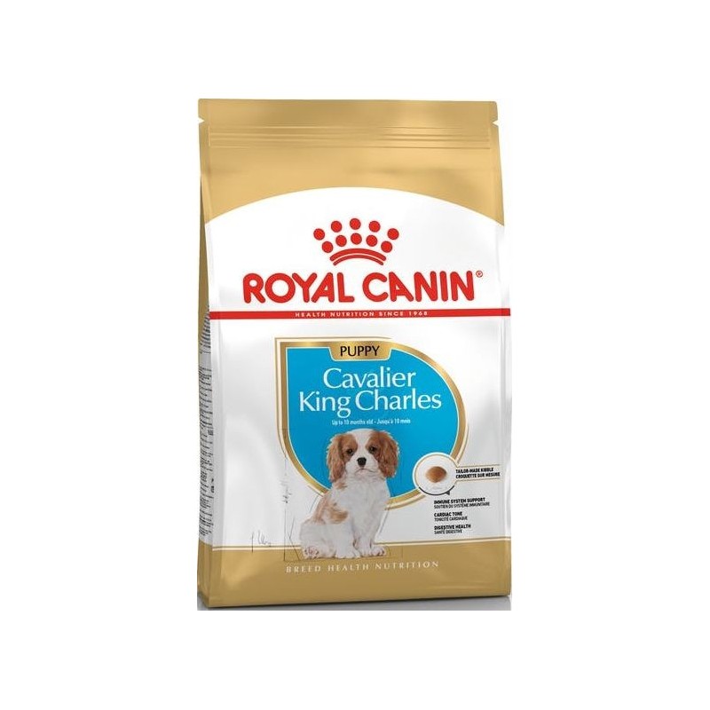 Cavalier King Charles Puppy 1,5kg - Royal Canin